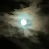 Tara Klingman - @taraklingman - TikTok