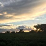 Tara Knutson - @knutson.tara - Instagram
