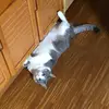 tarakos - @tarakos - TikTok