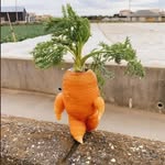 にんじんボーイ - @tarakosupagetei9 - Instagram