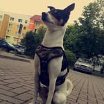 Tara.krueger - @t_a_r_a_k_r_u_g_e_r - Instagram