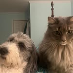 Tara Culp Lain - @taraculplain - Instagram