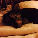 Tara Lambeth - @taralambeth - Instagram