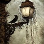 Tara Lamberson - @silverbullet7827 - Instagram