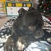 Tara Langley Deem - Facebook