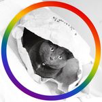 Tara Larkin-Fredericks - @larkinbabies - Instagram