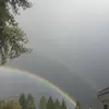 Ella_lauer:0 - @lauertara - TikTok