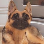 Tara Lauer - @tara_bearr23 - Instagram