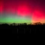 Tara Laughlin - @tjl1005 - Instagram