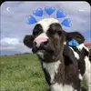 Tara Laughlin - @tara5114 - TikTok