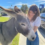 Tara Laughlin - @taralaughlin74 - Instagram