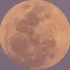 tara - @tara.mclaughlin - TikTok