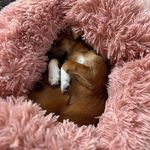 Tara Layman - @tdiddy1975 - Instagram
