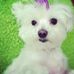 Tara Patton Layman - Facebook
