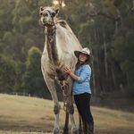 Tara Lea - @camelconnection - Instagram