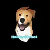 HanksCloset - @taralemastershank - TikTok