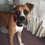 Tara Ley - @leytara - Instagram