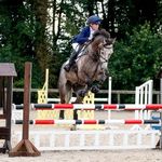 Tara Lockhart - @taralockhart.eventing - Instagram
