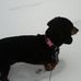 Tara Loftin - Facebook