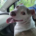 Tara Loftus - @tlo_1979 - Instagram