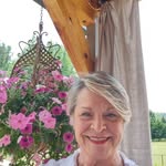 Tara L Longfellow - @tara.longfellow - Instagram