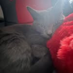 Tara - @_tara_lovell_ - Instagram