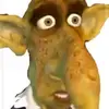 fungus kim - @tarallucci33 - TikTok