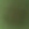 taralluccidivino - @taralluccidivino3 - TikTok