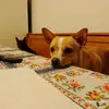 Tara - @taralucero2 - TikTok