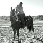 Tara McCarty - @tlm_equestrians - Instagram