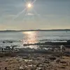 Tara McGowan - @tara.mcgowan0 - TikTok