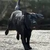 taramckenna2 - @t.roy101082 - TikTok