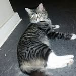 MzMamaChuz - @taramcmanus14 - Instagram