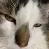 taramcmanus578 - @taramcmanus578 - TikTok