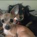 Tara McNelis - Facebook