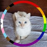 Tara McShane - @tsm4485 - Instagram