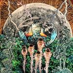 tarameadowscollage - @tarameadowscollage - Instagram