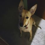 Tara Messner - @zeusmichael2021 - Instagram