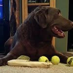 Tara Milton - @taraleigh1372 - Instagram