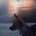 Tara Mohr - Facebook