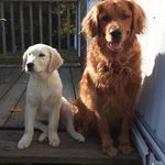 Tara Pflugh - @tara.mohr.79 - Instagram