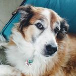 Tara Morey - @tara.morey.73 - Instagram