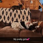 Tara Lyn Morley - @taralynmorley - Instagram