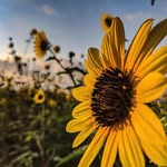 Tara Moser - @tjhollis1212 - Instagram