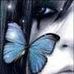 Tara Moser - Facebook