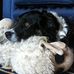 Tara Murrell - Facebook