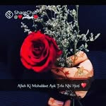 Tarana Rain - @tarana_rain - Instagram