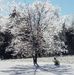 Tara Abney Nason - Facebook