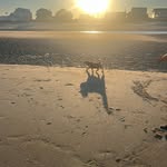 Tara Nason Walker - @seastar5 - Instagram