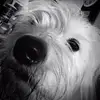 taranix247 - @taranix247 - TikTok